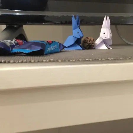 דירה San Saverio